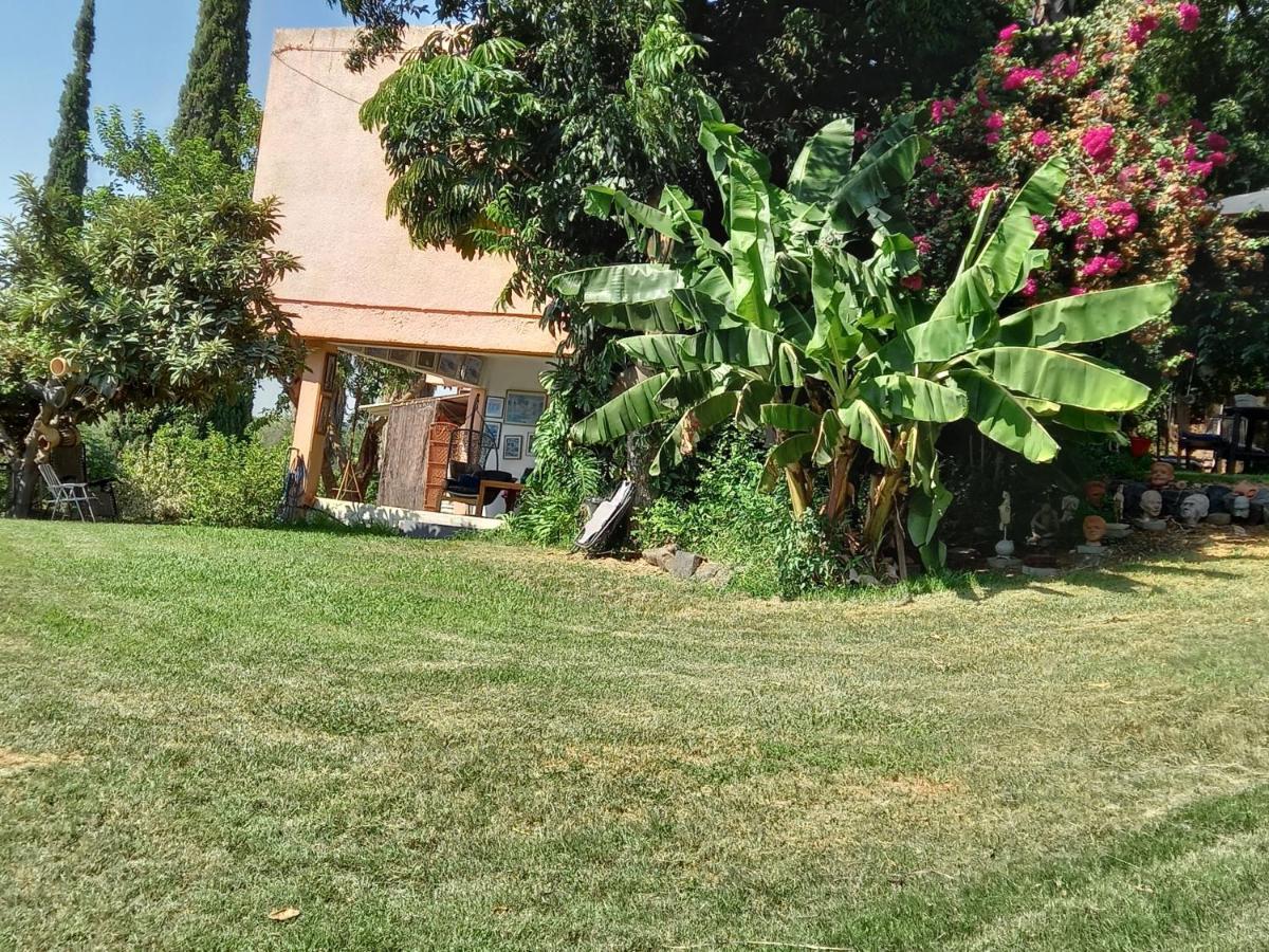 צימר בודד בגליל העליון Kefar Szold Exteriör bild