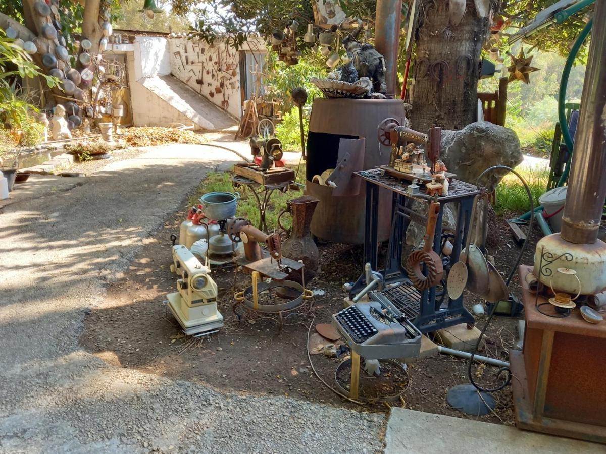 צימר בודד בגליל העליון Kefar Szold Exteriör bild
